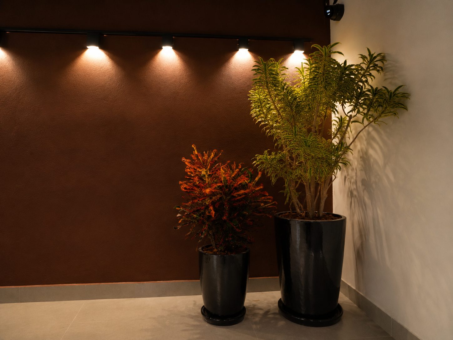Bar & Cozinha — Detalhe